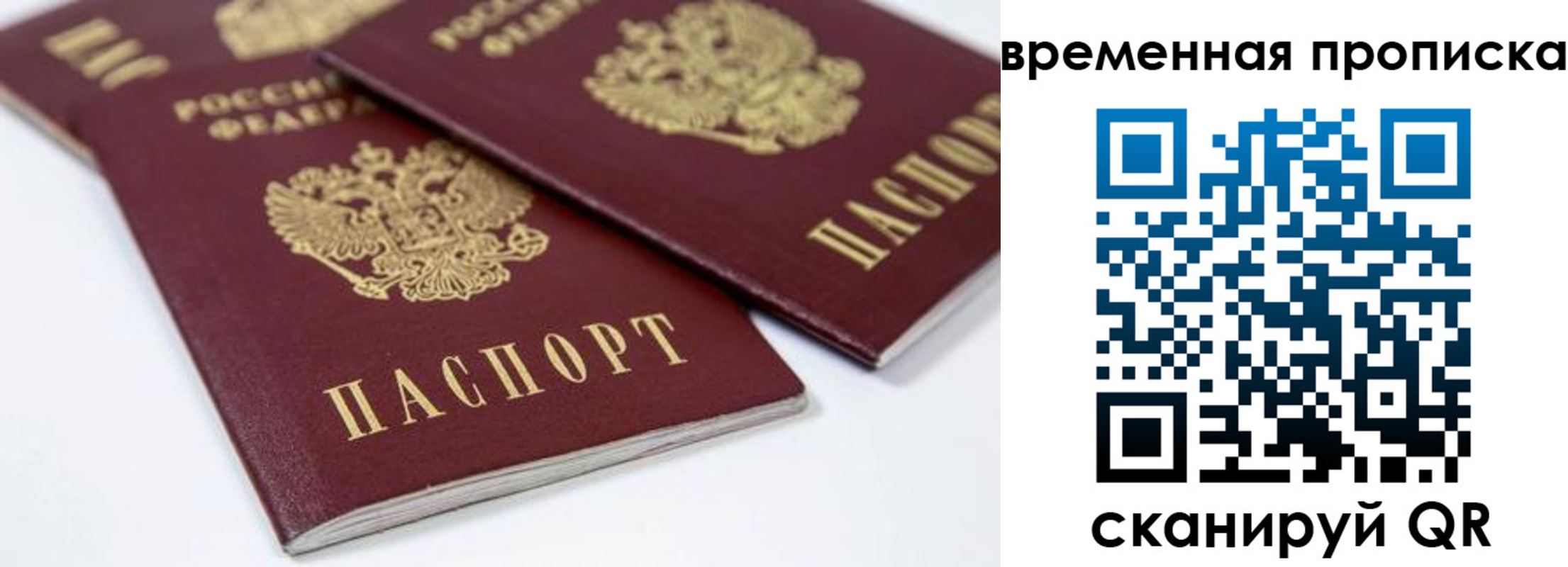 прописка для школы в Михайловске